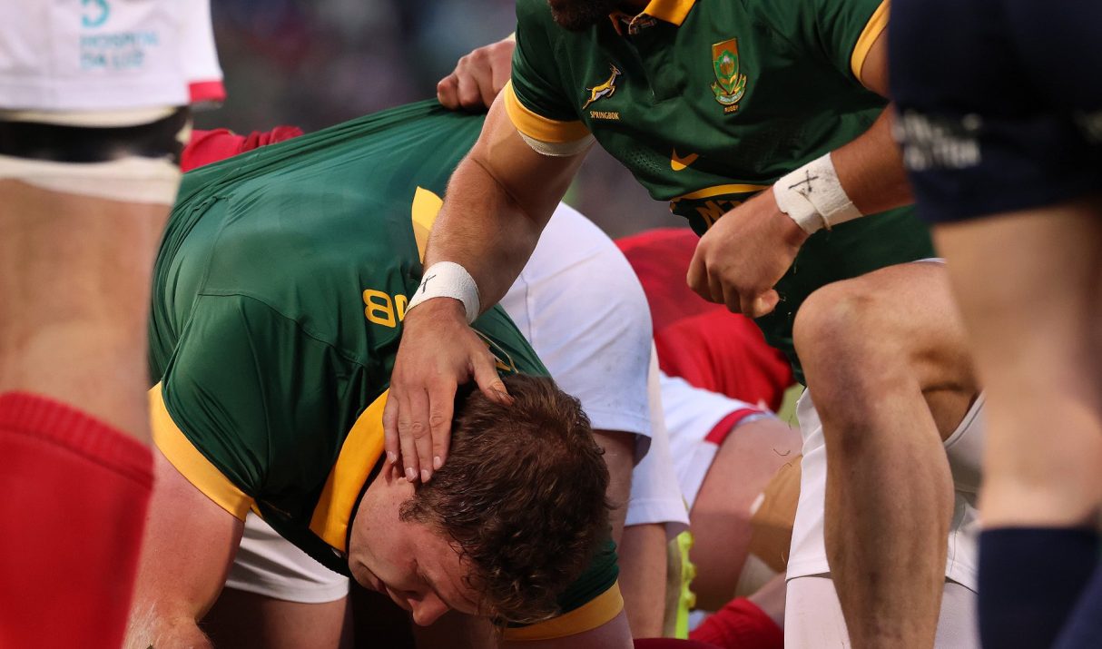 Bok Newcomer Honoured To Be Part Of World Champions Touring squad