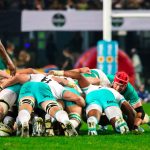 Springboks