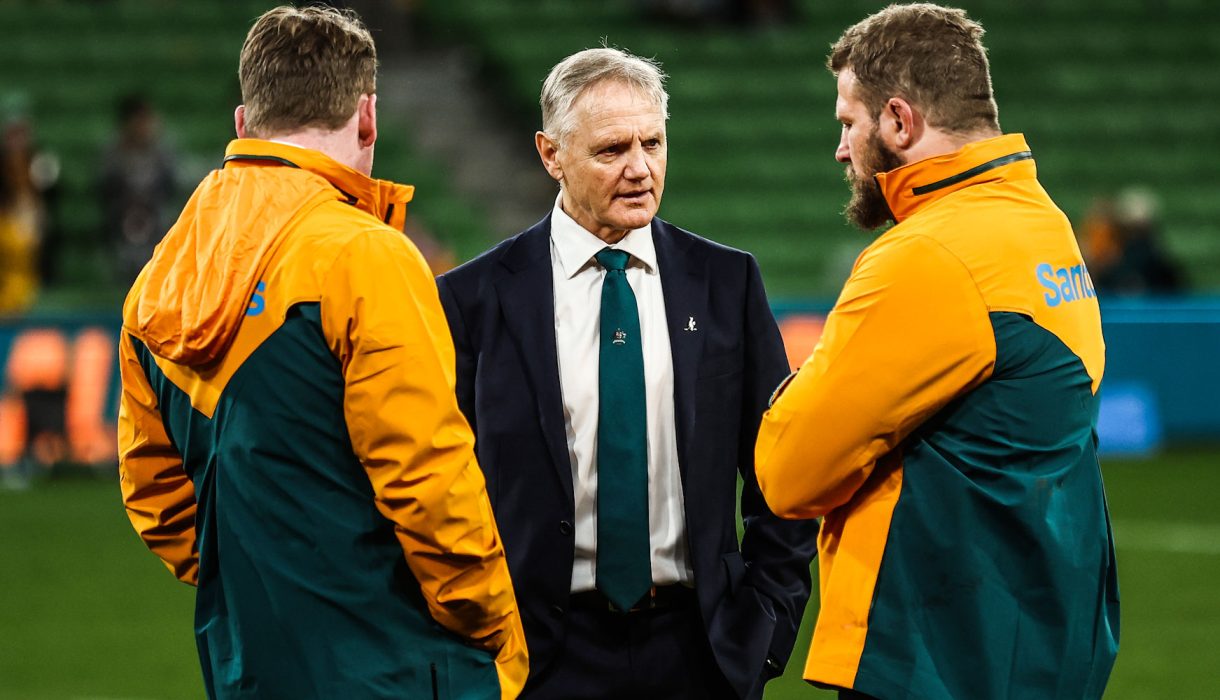 Joe Schmidt