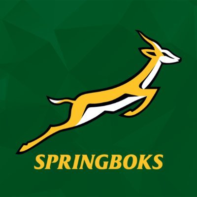 Another Big Sponsor Joins Springboks