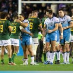 Springbok vs Scotland