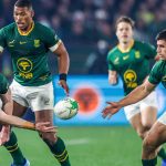 Ethan Hooker, Paul De Villiers, Damian Willemse against Scotland